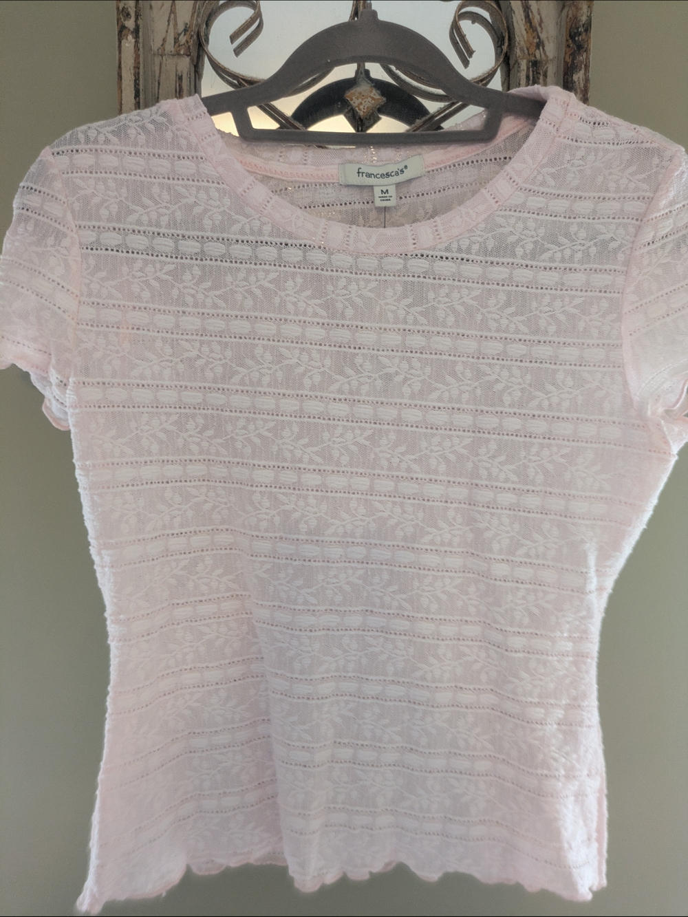 Francesca's Collections Light Pink Lace Short Sleeve Top